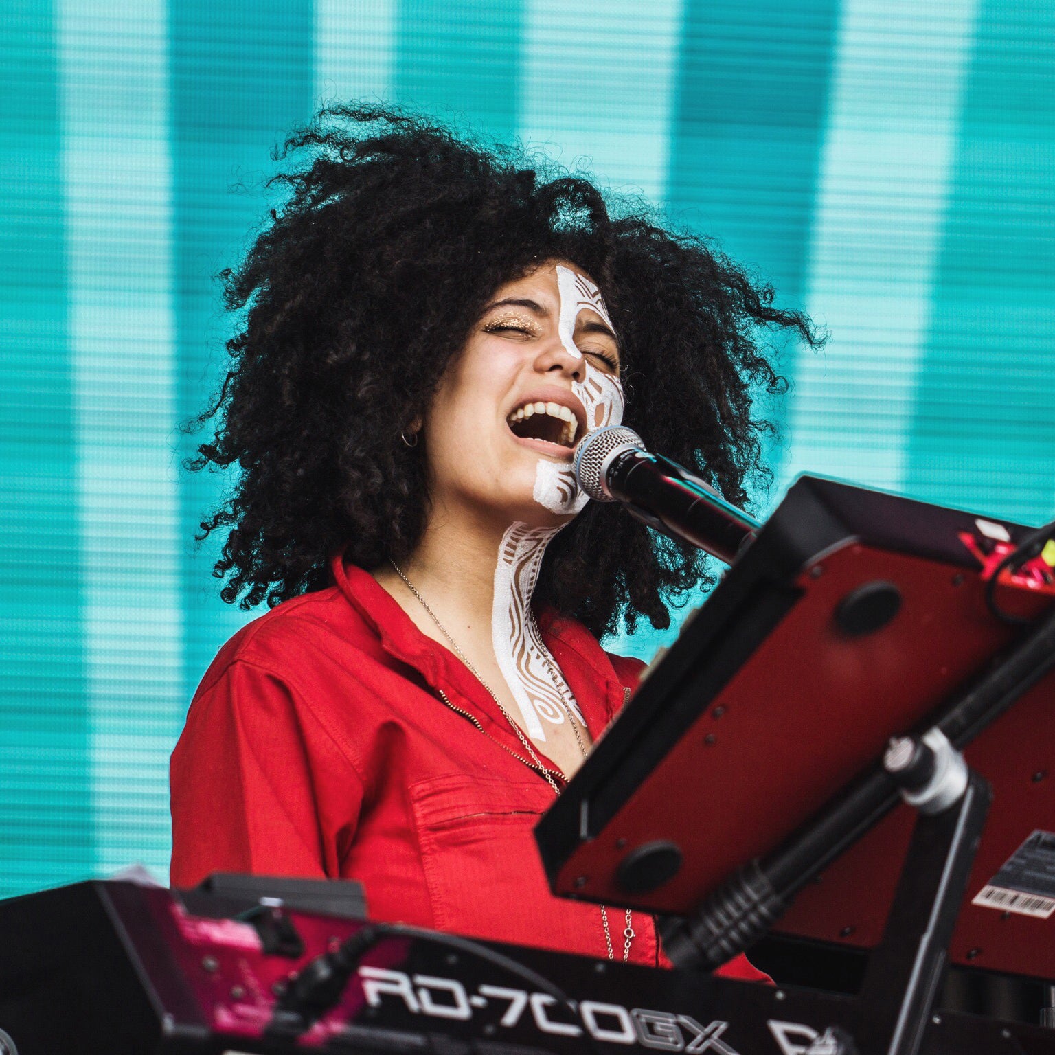 These 2016 ROOTS Picnic Performance Photos Are Epic
